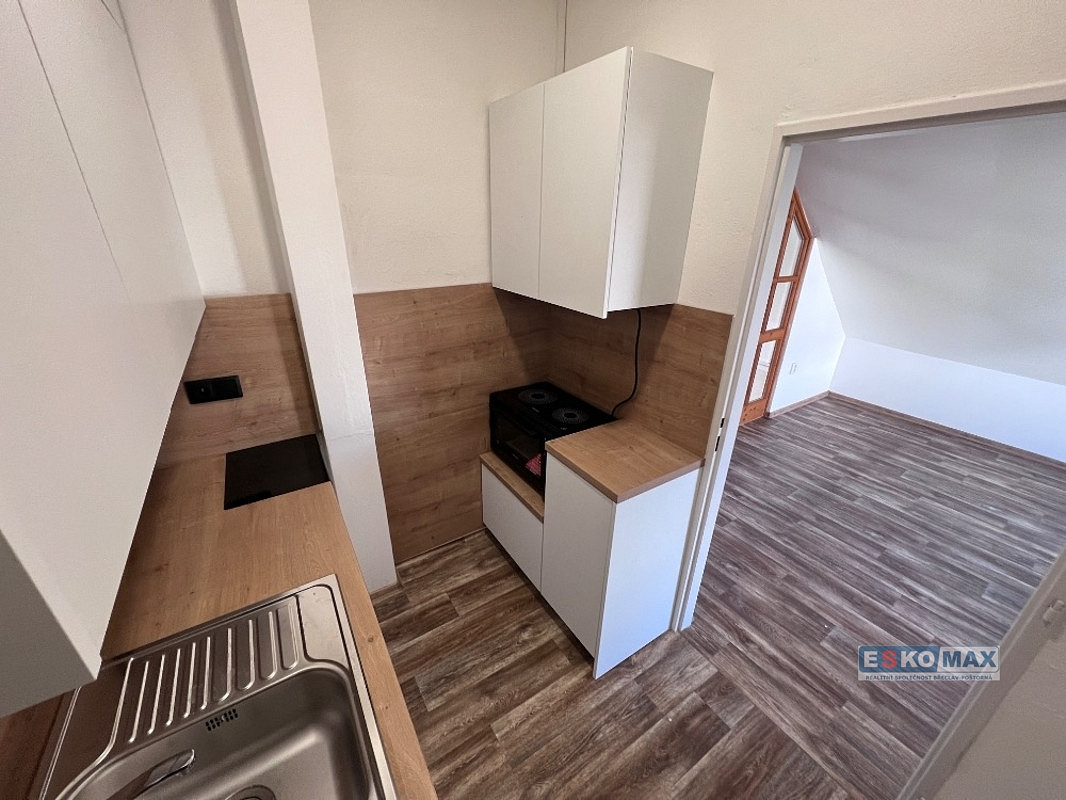 Pronájem bytu 2+1 100 m² – fotografie 5