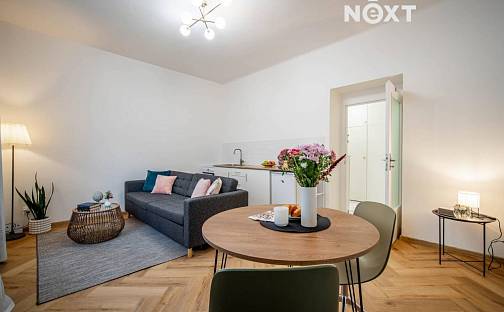 Pronájem bytu 1+kk 29 m², Na Mlejnku, Praha 4 - Braník