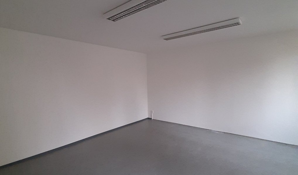 Pronájem komerčního objektu (jiného typu) 50 m², Lužany – náhled fotky 5