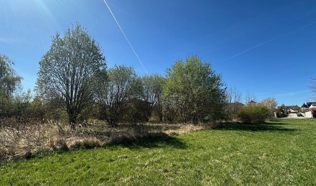 Prodej stavebního pozemku 1 669 m², Úhonice – náhled fotky 2