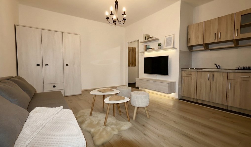 Pronájem bytu 1+kk, 25 m², Ostrava-město, Ostrava