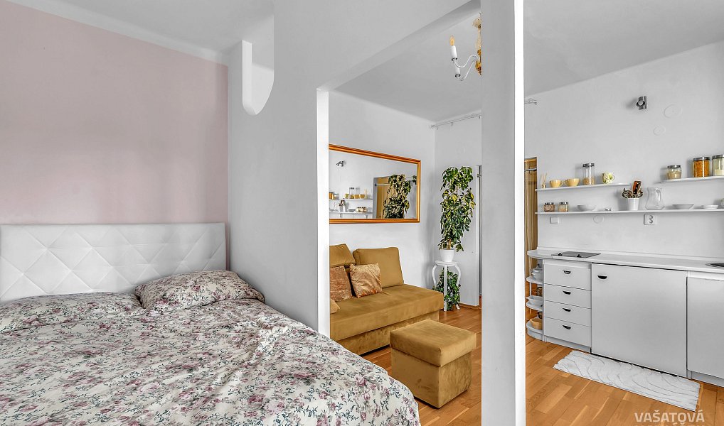 Pronájem bytu 1+kk 28 m², Hradec Králové – náhled fotky 6