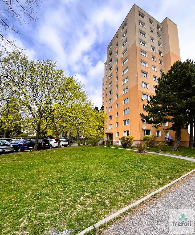 Prodej bytu 1+1 39 m² — photo 2