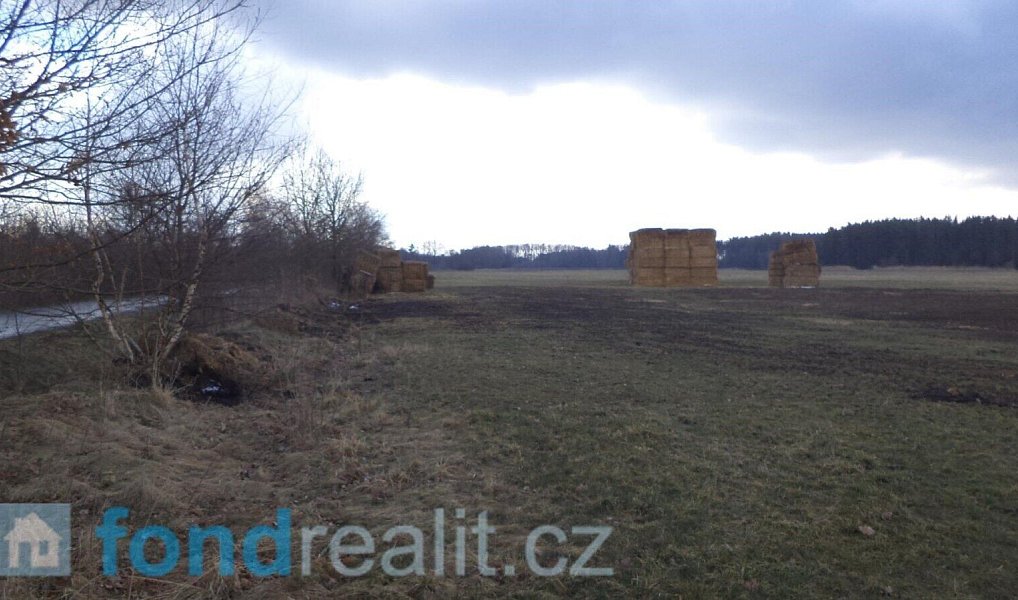 Prodej pozemku 2 131 m², Lužnice – náhled fotky 5