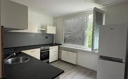 Pronájem bytu 1+1 43 m²