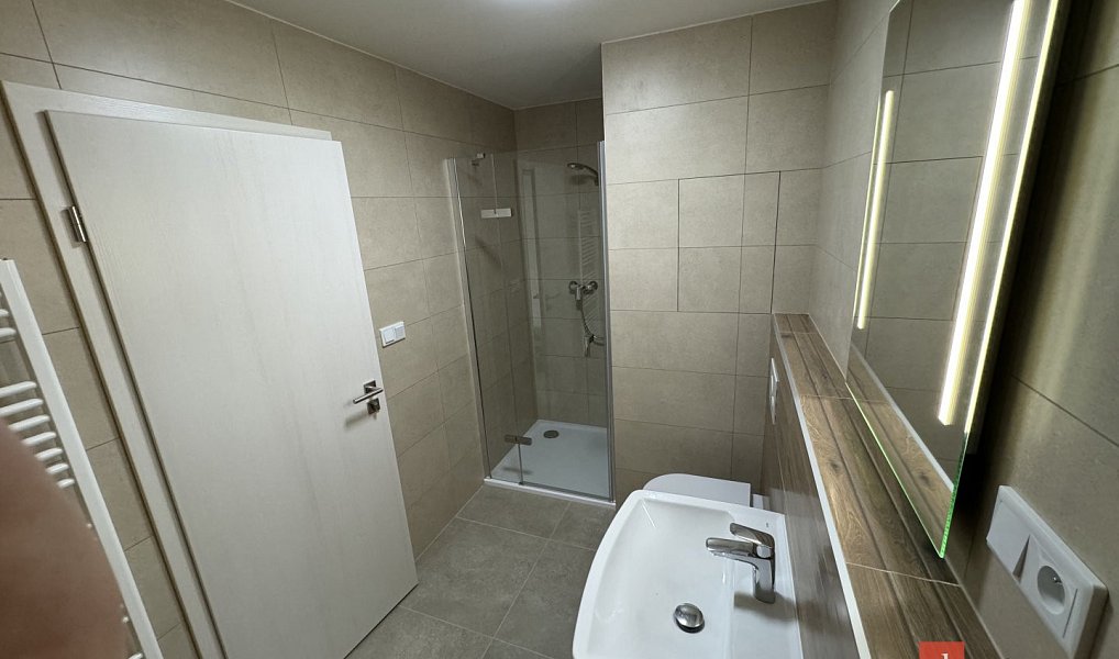 Prodej bytu 1+kk 46 m², Plzeň – náhled fotky 8