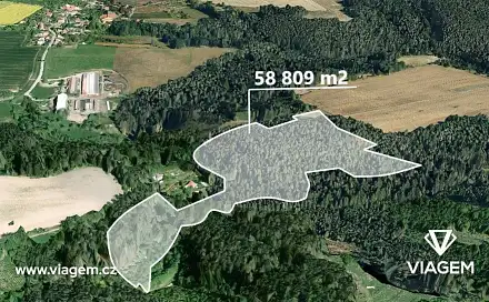 Prodej lesa 1 470 m², Letovice, okres Blansko