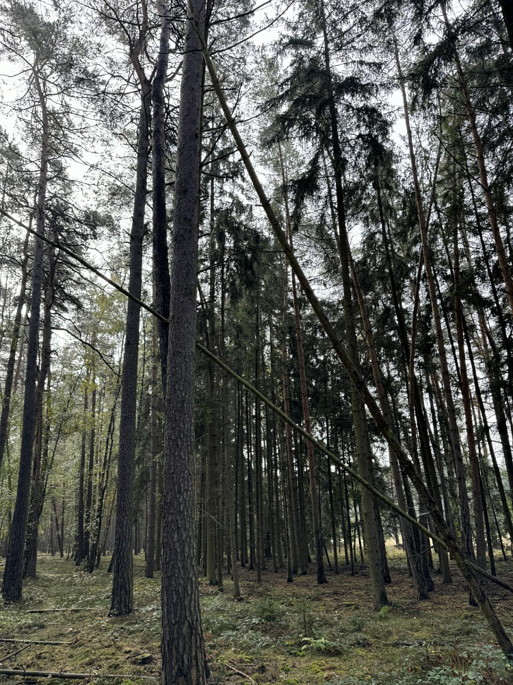 Fotka 17 z 27