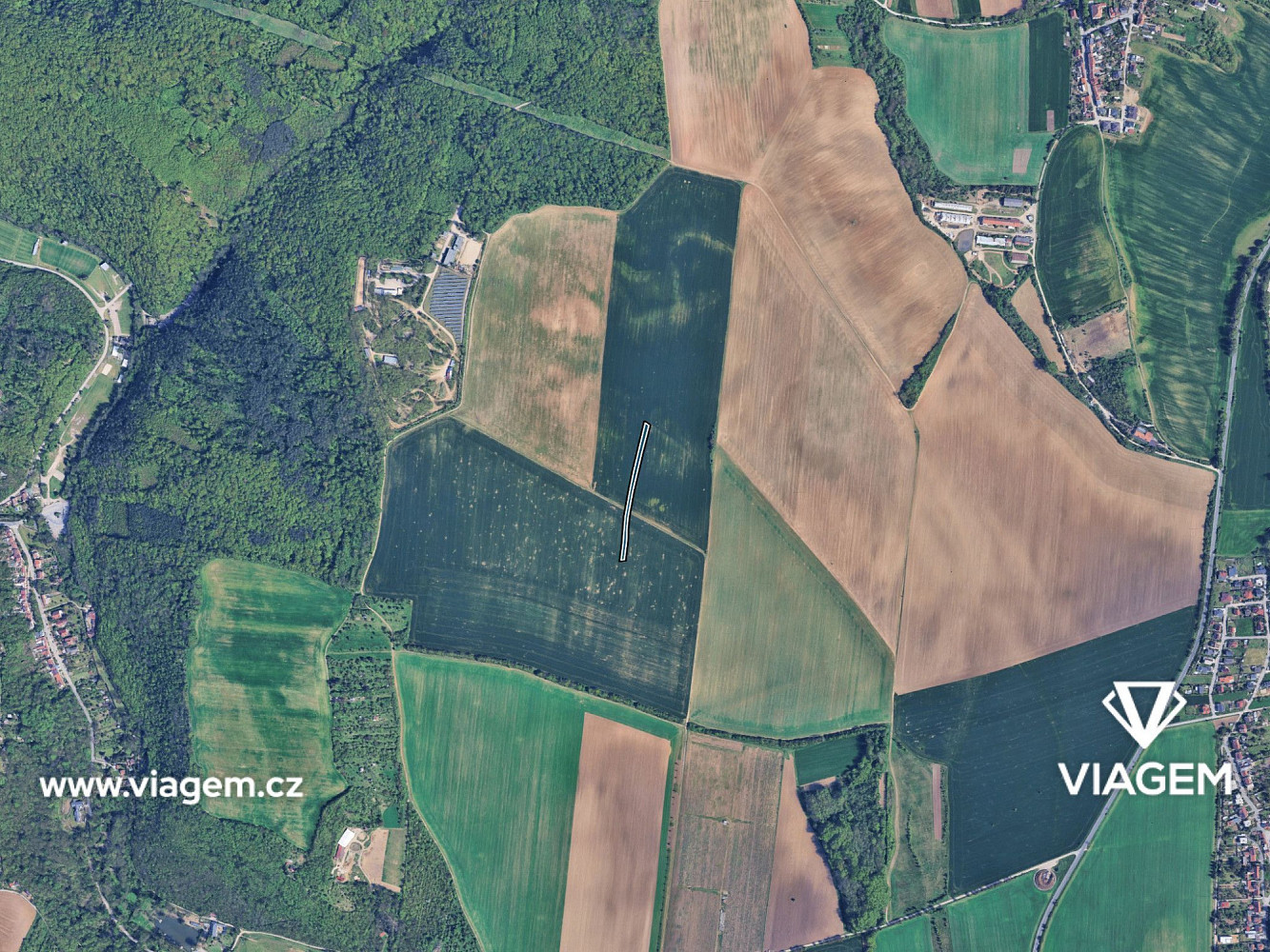 Prodej pole 949 m² – fotografie 3