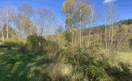 Dražba pozemku 449 m², Lučany nad Nisou