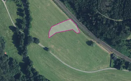 Prodej louky 3 176 m², Hynčina, okres Šumperk