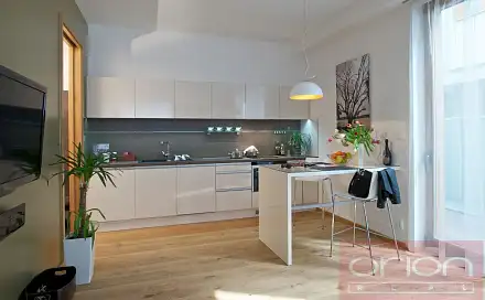 Pronájem bytu 1+kk 60 m²