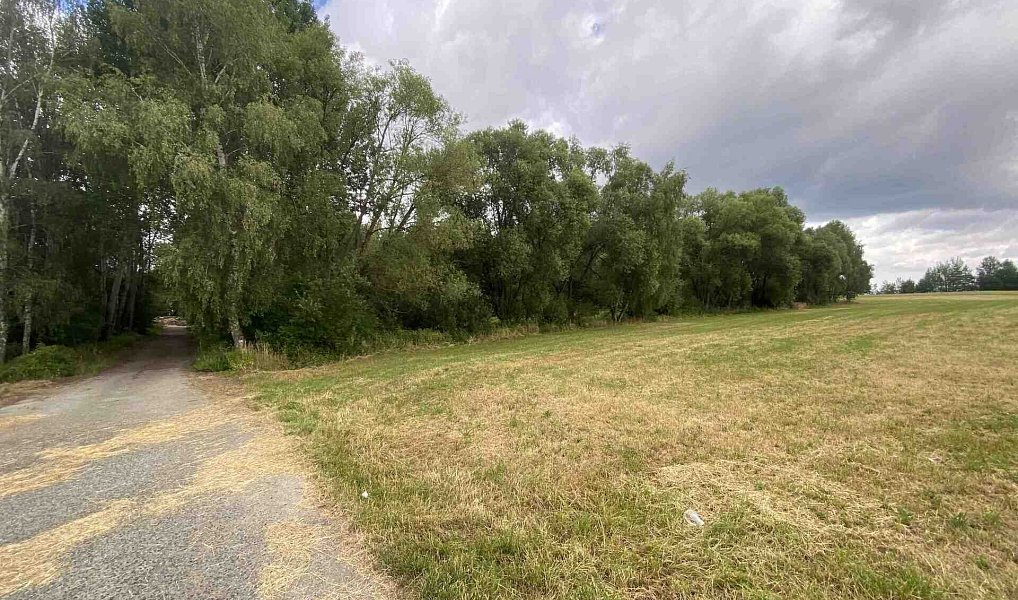 Prodej louky 6 751 m², Nové Hrady – náhled fotky 6