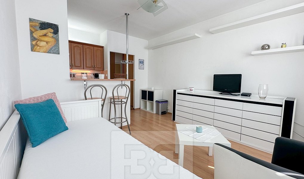 Pronájem bytu 1+kk 24 m², Praha – náhled fotky 5