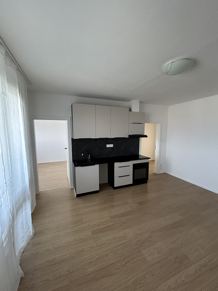 Prodej bytu 3+kk 59 m² – fotografie 3