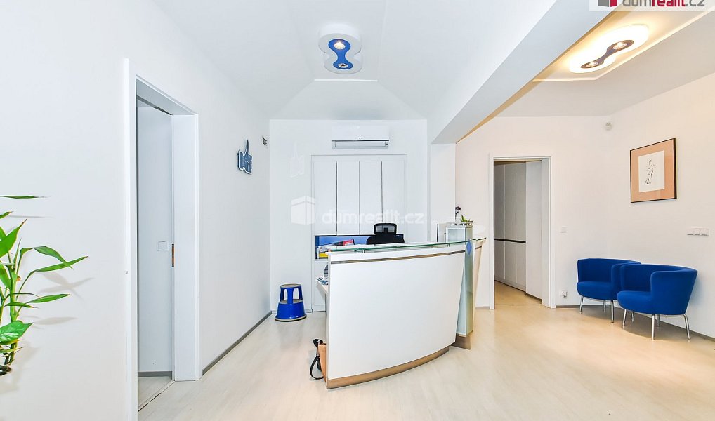 Pronájem kanceláře 284 m², Praha – náhled fotky 4