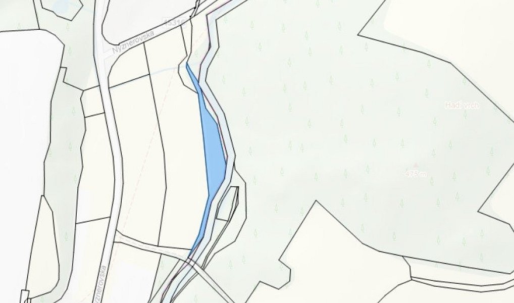 Prodej lesa 3 247 m², Skorošice – náhled fotky 2