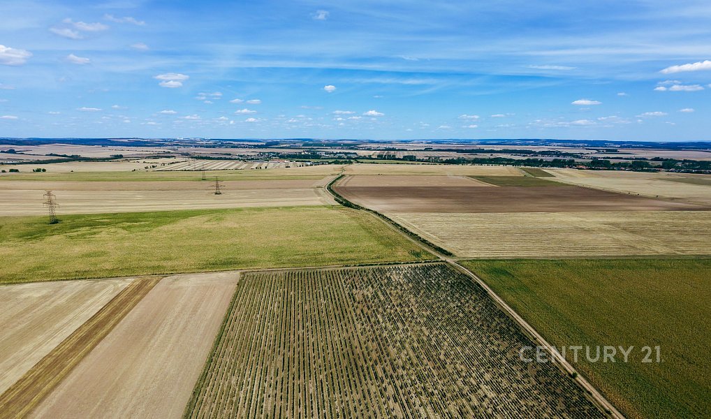Prodej pole 48 928 m², Těšetice – náhled fotky 12