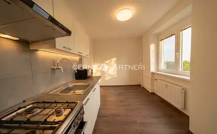 Pronájem bytu 3+1 58 m², Horská, Litvínov - Chudeřín, okres Most