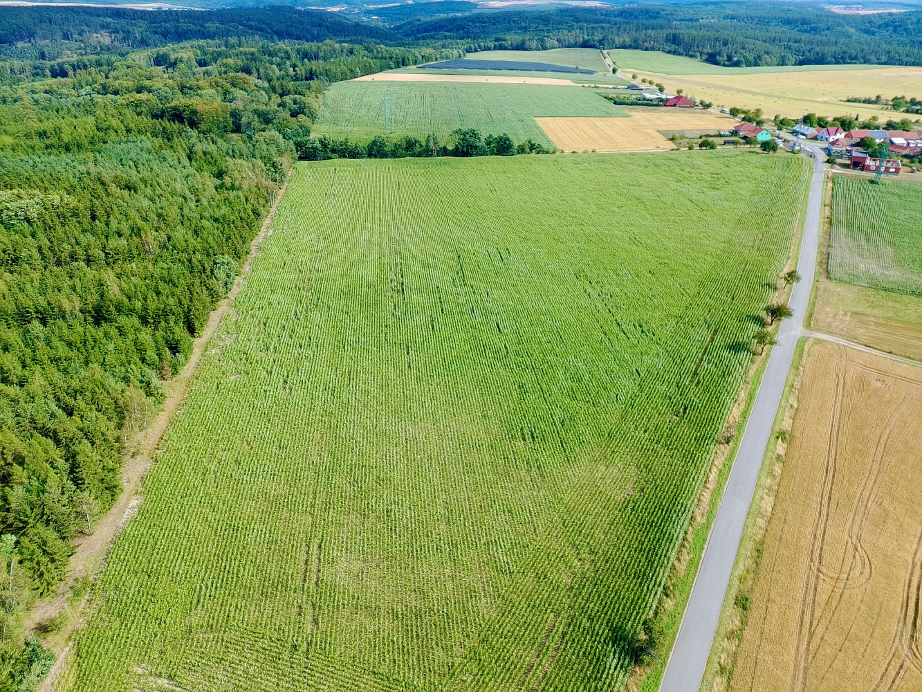 Prodej stavebního pozemku 80 000 m² – fotografie 2