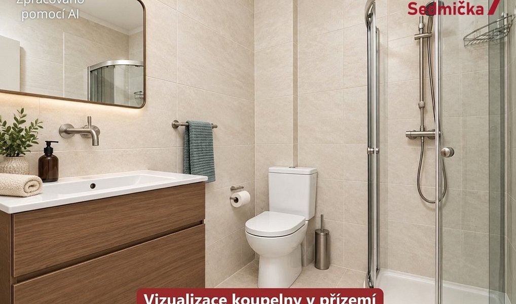 Prodej domu 300 m² s pozemkem 302 m², Únanov – náhled fotky 13
