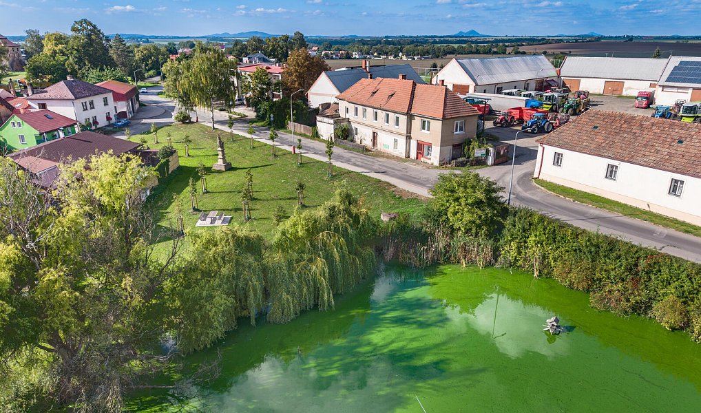 Prodej domu 240 m² s pozemkem 355 m², Bezno – náhled fotky 15