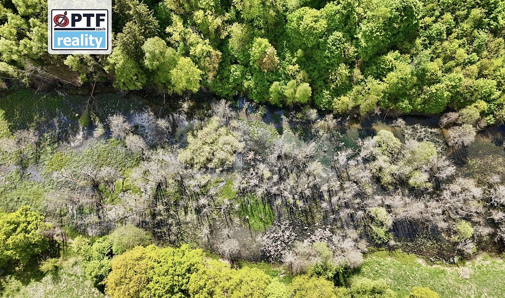 Prodej výrobních prostor 8 000 m², Libá – náhled fotky 17