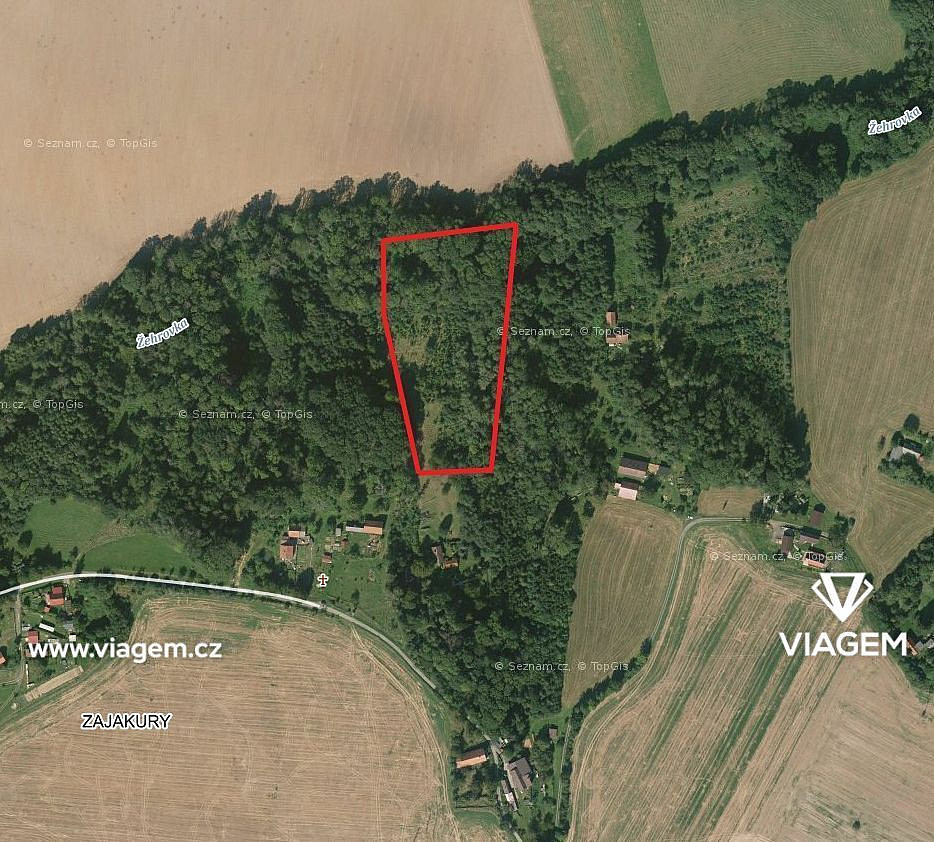 Prodej lesa 2 241 m²