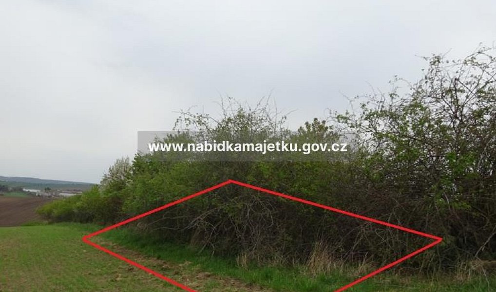 Prodej pole 918 m², Klobouky u Brna – náhled fotky 4