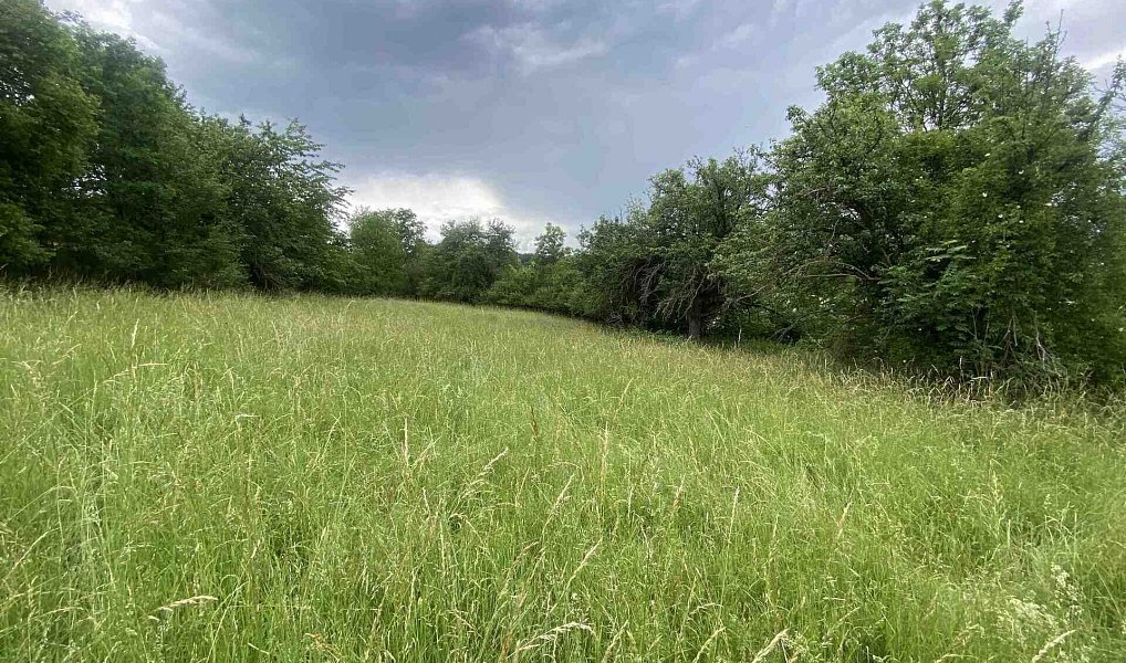 Prodej pole 10 485 m², Řehlovice – náhled fotky 4