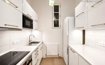 Pronájem bytu 1+1 33 m², Hálkova, Praha 2 - Nové Město