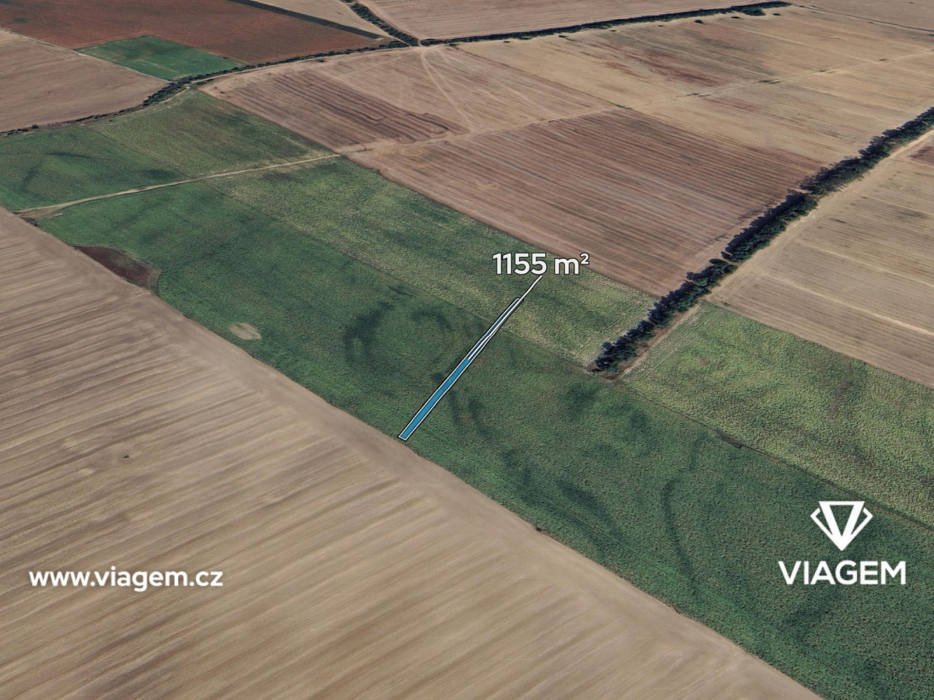Prodej pole 1 155 m²
