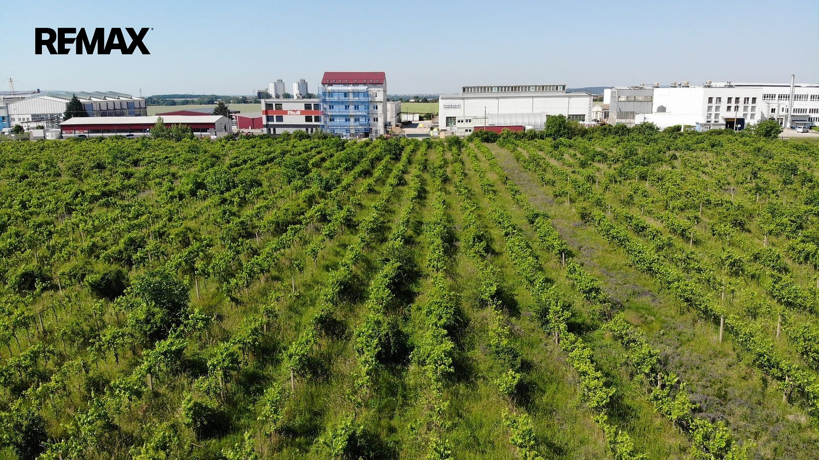 Prodej komerčního pozemku 2 465 m² – fotografie 3