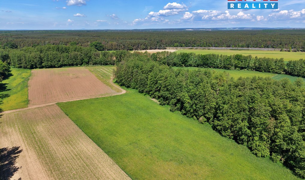 Prodej lesa 5 227 m², Lysá nad Labem – náhled fotky 10