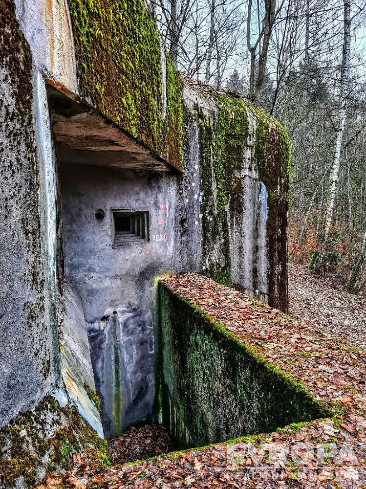 Prodej pozemkové parcely č. 448/10 s možností nájemní smlouvy na izolovaný pěchotní srub ts 60 u sta — photo 3