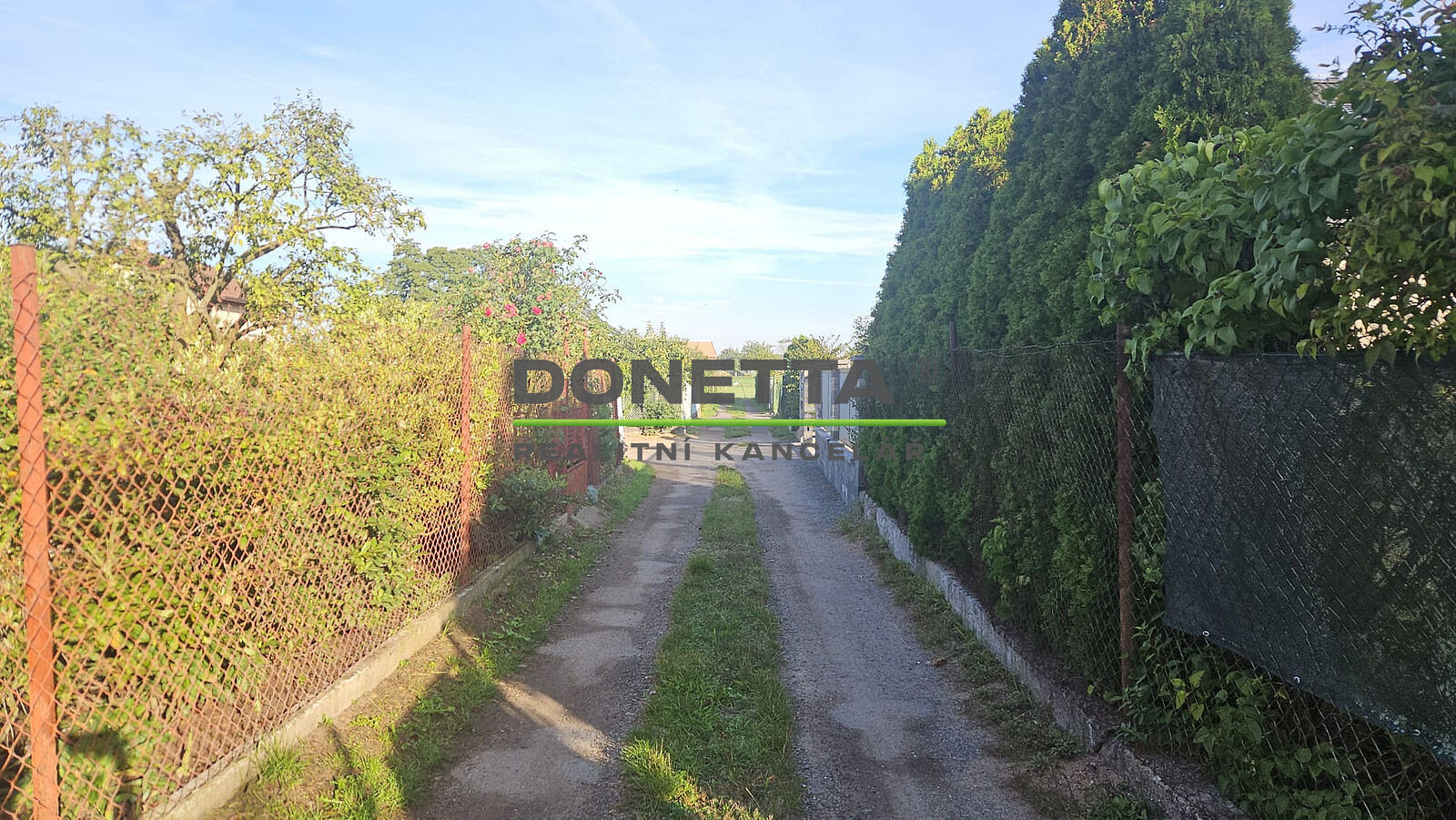 Fotka 12 z 13