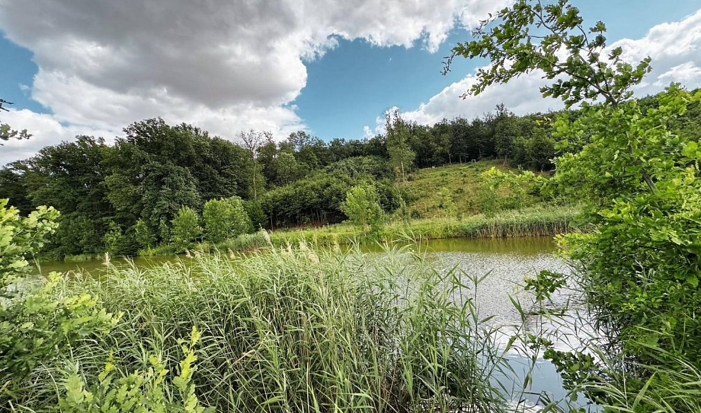 Prodej zahrady 794 m², Kralupy nad Vltavou – náhled fotky 21