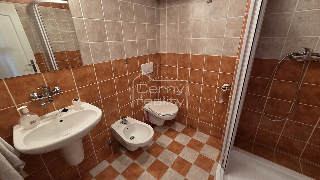 Pronájem kanceláře 205 m² – fotografie 4