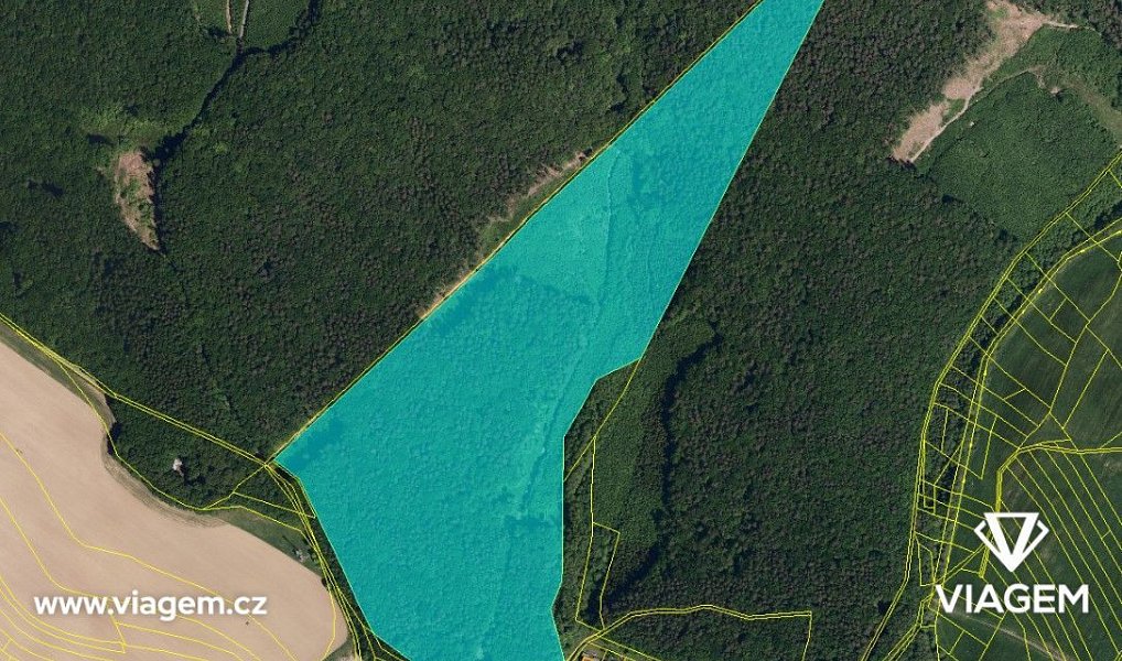 Prodej lesa 5 483 m², Fryšták – náhled fotky 2