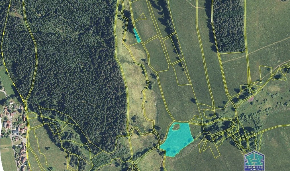 Prodej louky, 9771 m², Stará Knížecí Huť, Tachov, Lesná