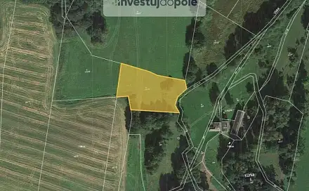 Prodej louky 2 026 m², Kasejovice, okres Plzeň-Jih