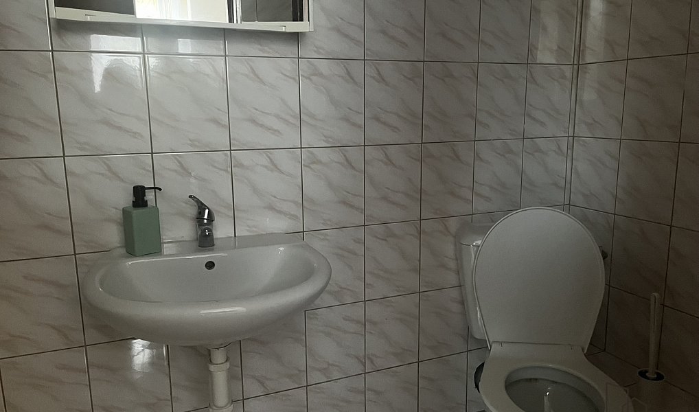 Prodej chaty/chalupy 948 m² s pozemkem 1 164 m², Dolní Lomná – náhled fotky 12