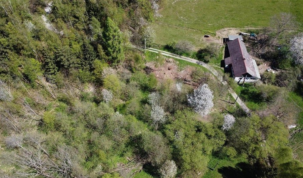 Prodej stavebního pozemku 1 417 m², Radčice – náhled fotky 10