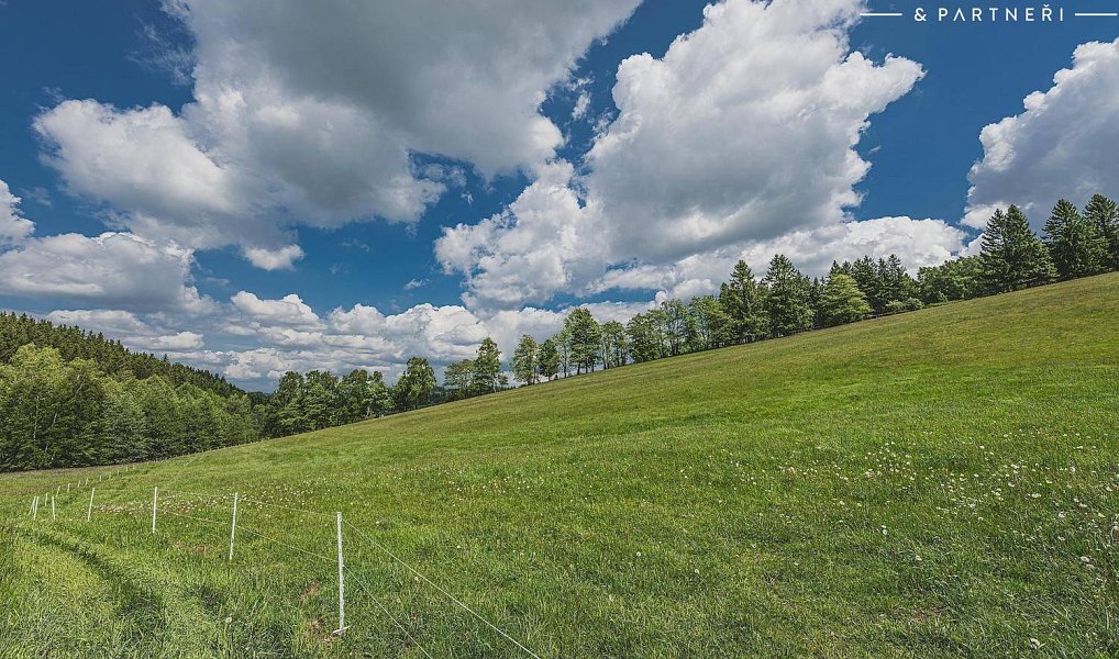 Prodej stavebního pozemku 5 600 m², Olešnice v Orlických horách – náhled fotky 7