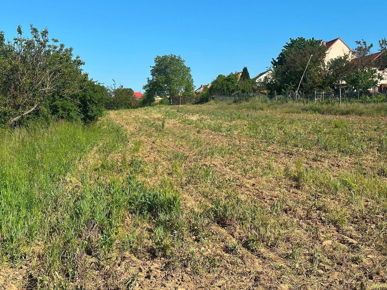Prodej pole 2 375 m² – pohled 2