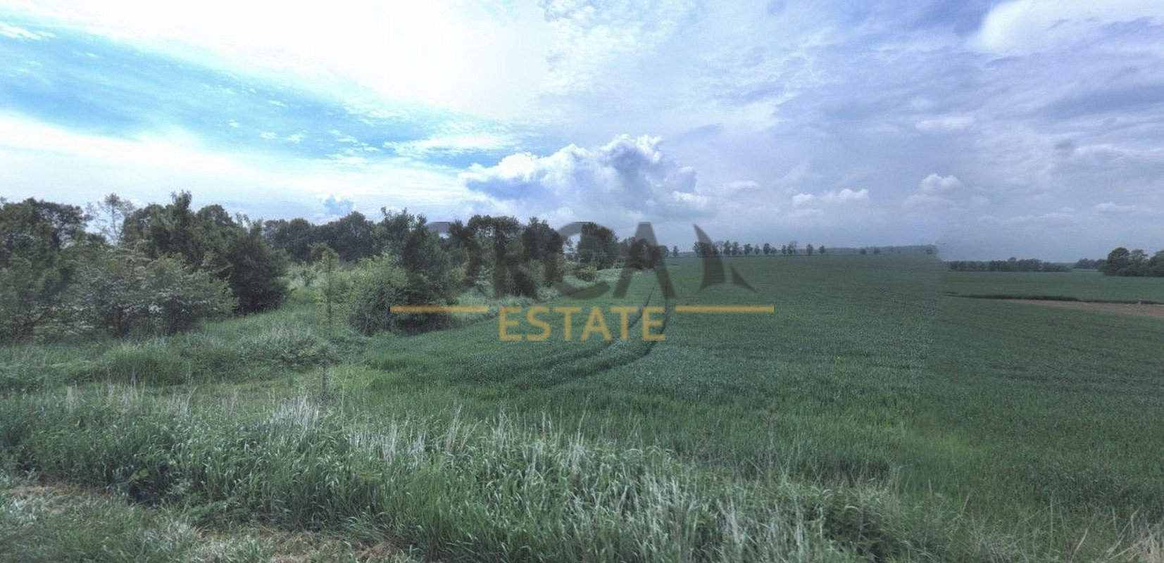 Prodej pole 552 m² – fotografie 5