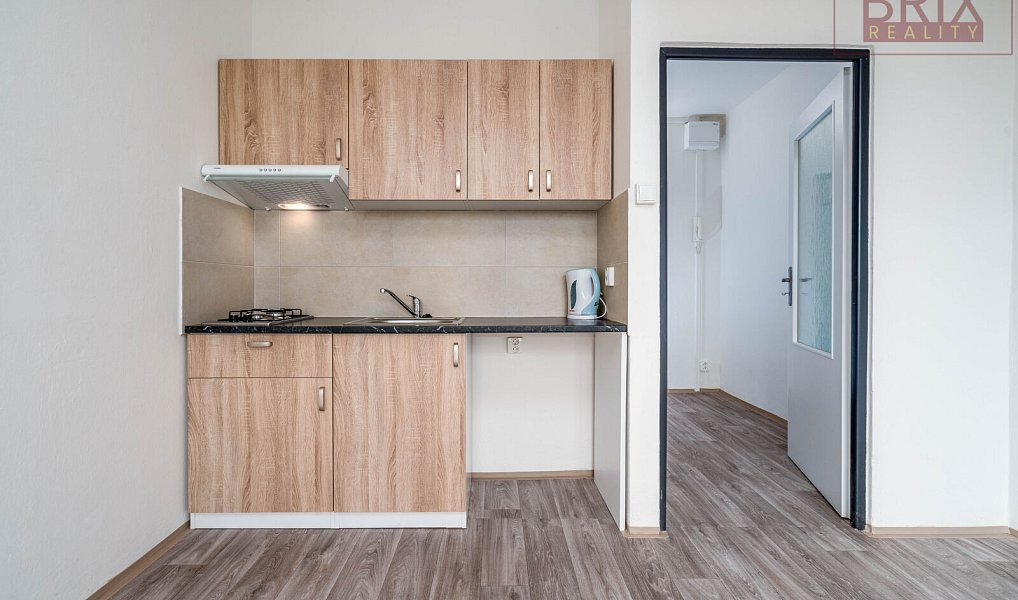 Prodej bytu 1+kk 28 m², Praha – náhled fotky 13