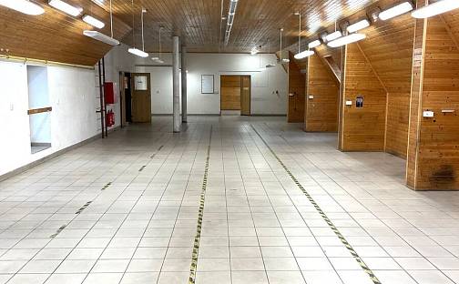 Pronájem skladovacích prostor 406 m², Stolařská, Uherský Brod, okres Uherské Hradiště