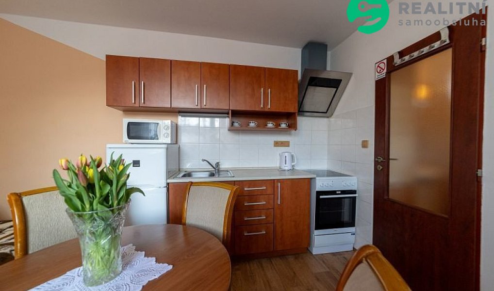 Prodej ubytovacího objektu 340 m², Brandýs nad Orlicí – náhled fotky 7