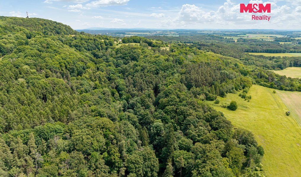 Prodej louky 13 358 m², Nosálov – náhled fotky 13